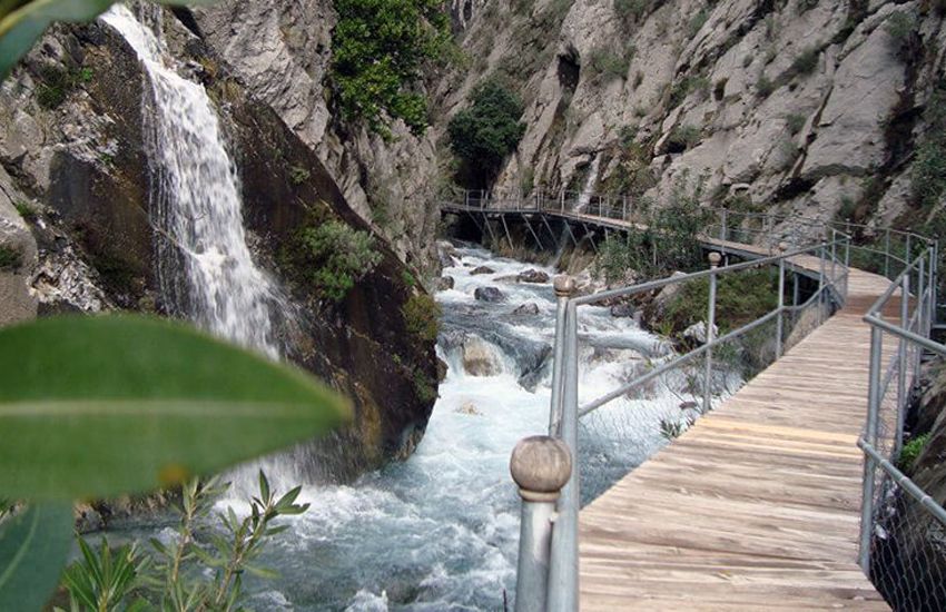Türk zeytinyağı: Ek sağlık faydaları olan kültürel bir hazine.