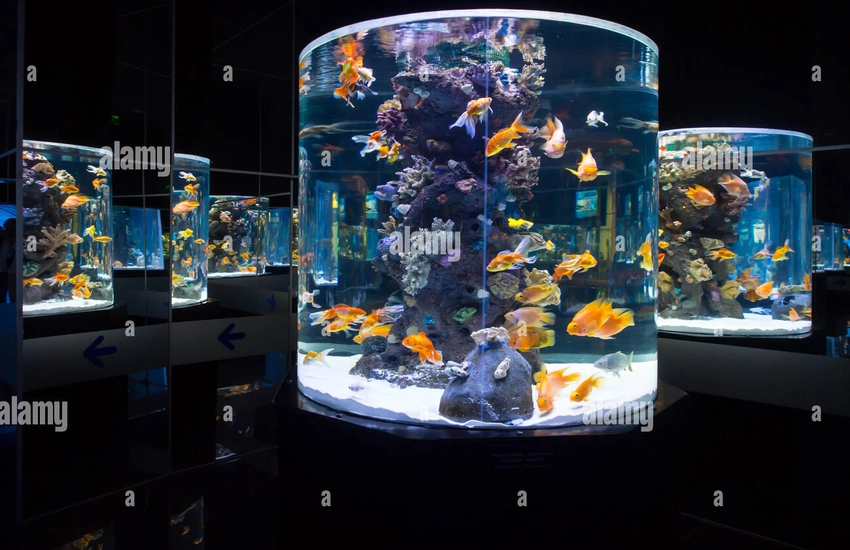 Antalya Aquarium — погружение в подводный мир