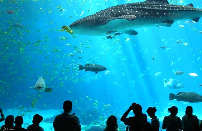 Antalya Aquarium — погружение в подводный мир
