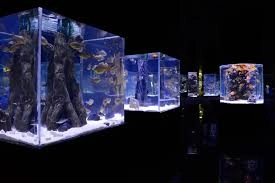 Antalya Aquarium — погружение в подводный мир