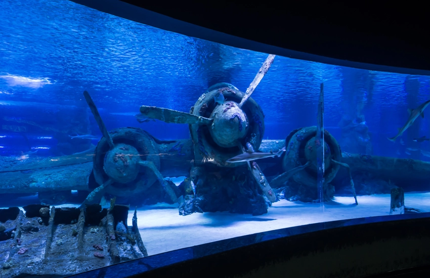 Antalya Aquarium — погружение в подводный мир
