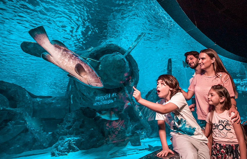 Antalya Aquarium — погружение в подводный мир
