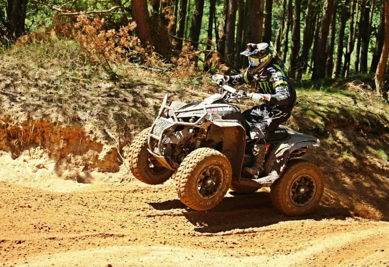 Side Buggy Safari