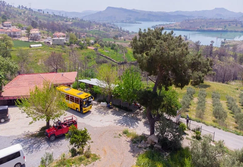 Mix Tour & Cabrio-Bus Safari