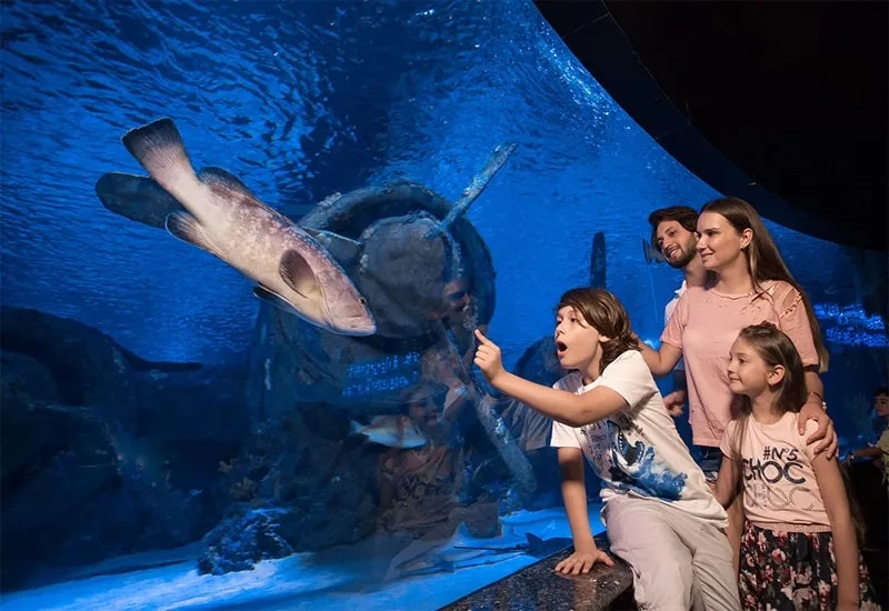 Antalya Aquarium Tour