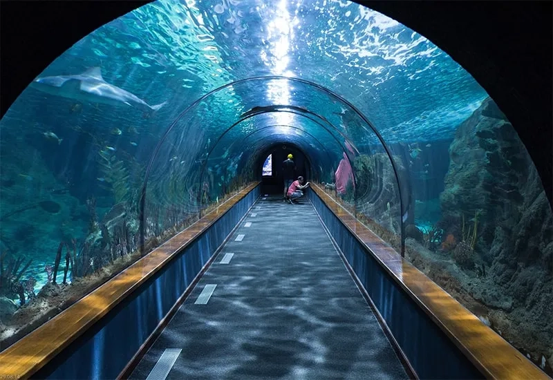Antalya Aquarium Tour