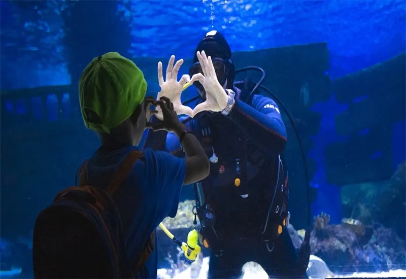 Antalya Aquarium Tour