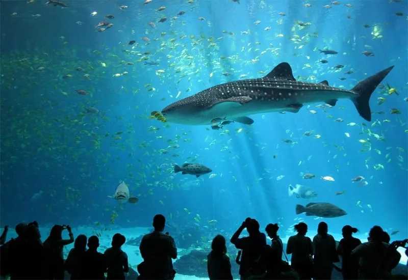 Antalya Aquarium Tour