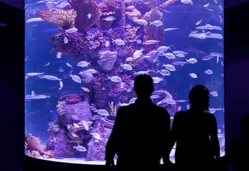 Antalya Aquarium Tour