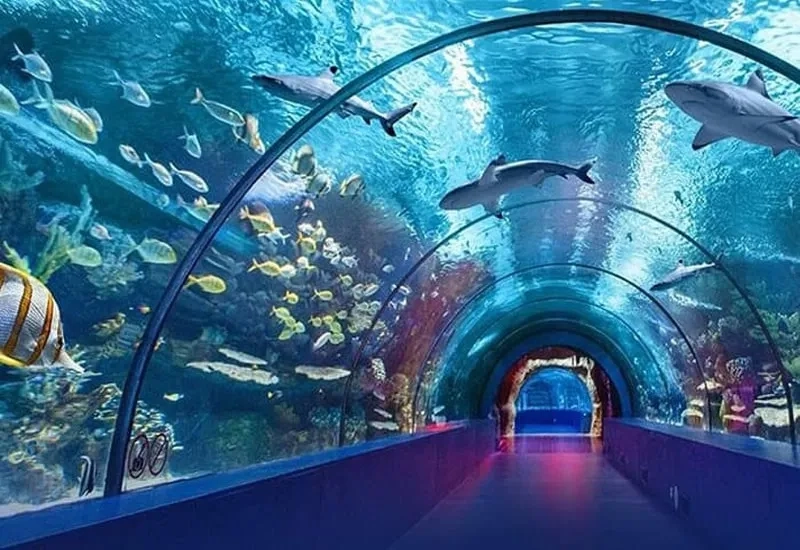 Antalya Aquarium Tour