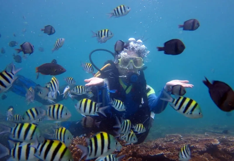 Aquarium & Schnorcheltour