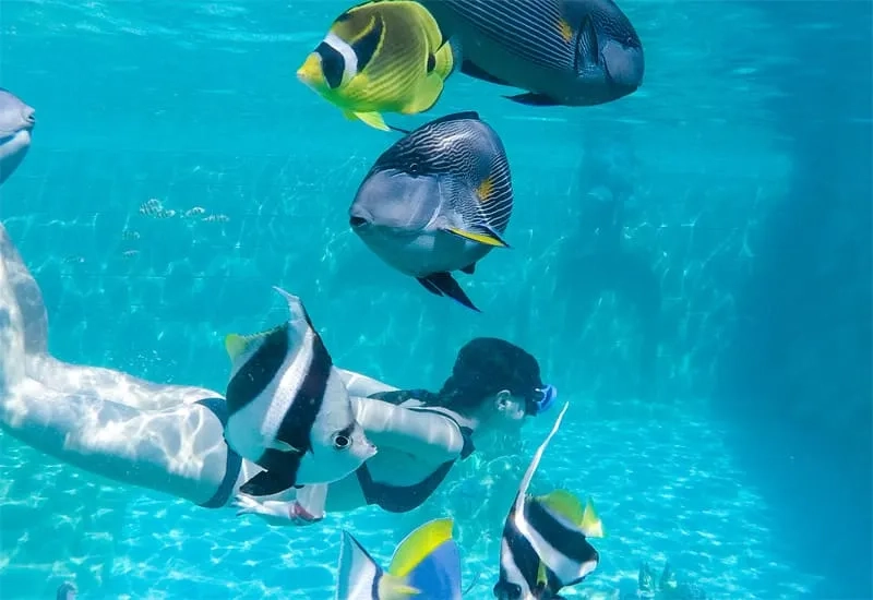 Aquarium & Schnorcheltour