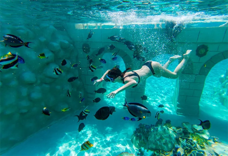 Aquarium & Schnorcheltour
