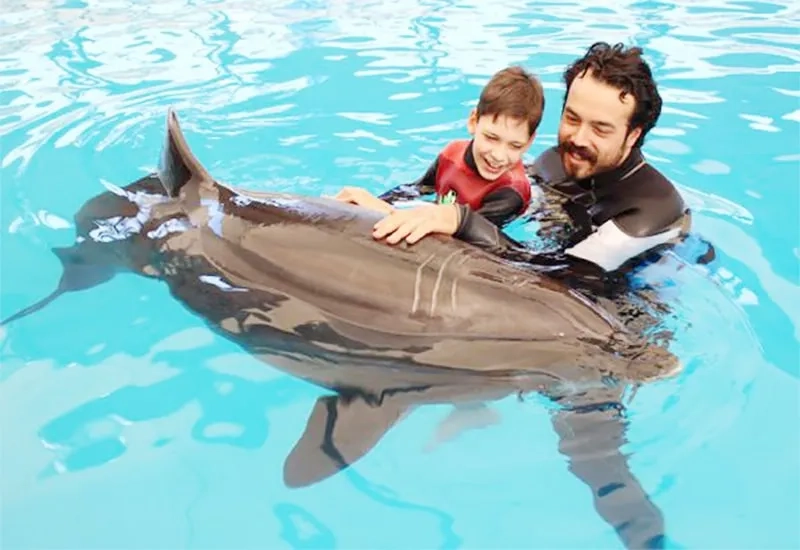Swim with Dolphins at Sealanya