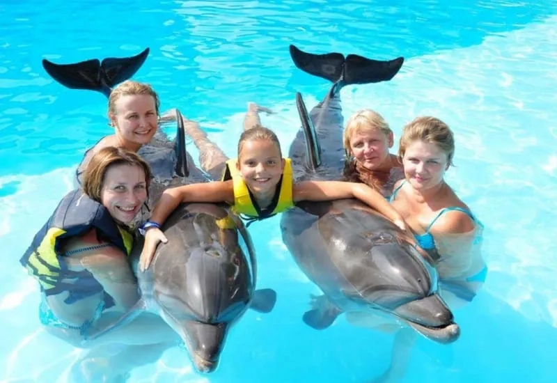 Swim with Dolphins at Sealanya