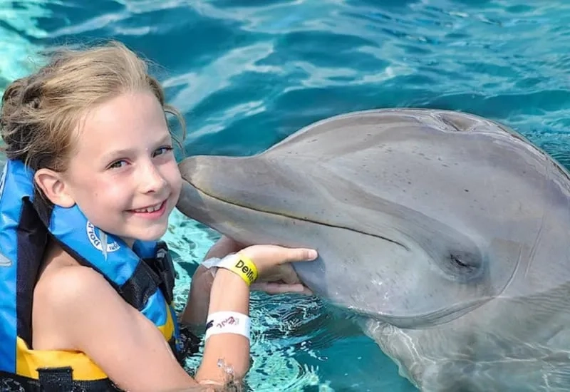 Swim with Dolphins at Sealanya