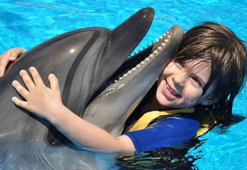 Swim with Dolphins at Sealanya
