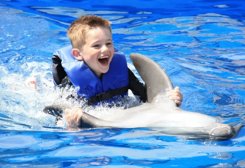 Swim with Dolphins at Sealanya