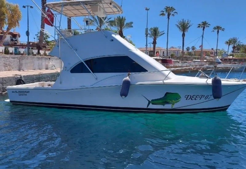 Side VIP Trolling Balık Avı Turu